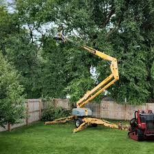 How Our Tree Care Process Works  in  Throop, PA